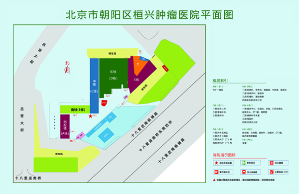 操扫逼啊啊啊好爽视频北京市朝阳区桓兴肿瘤医院平面图